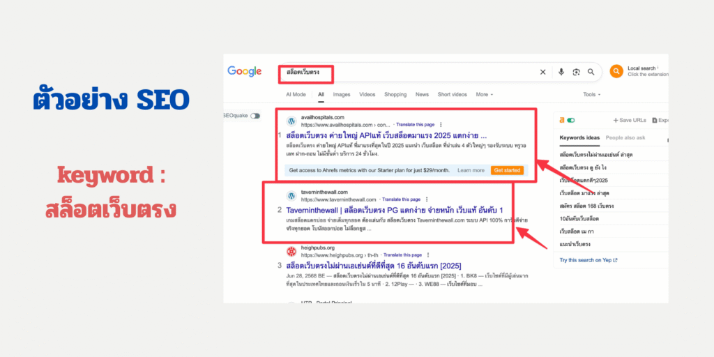 seo สายเทา