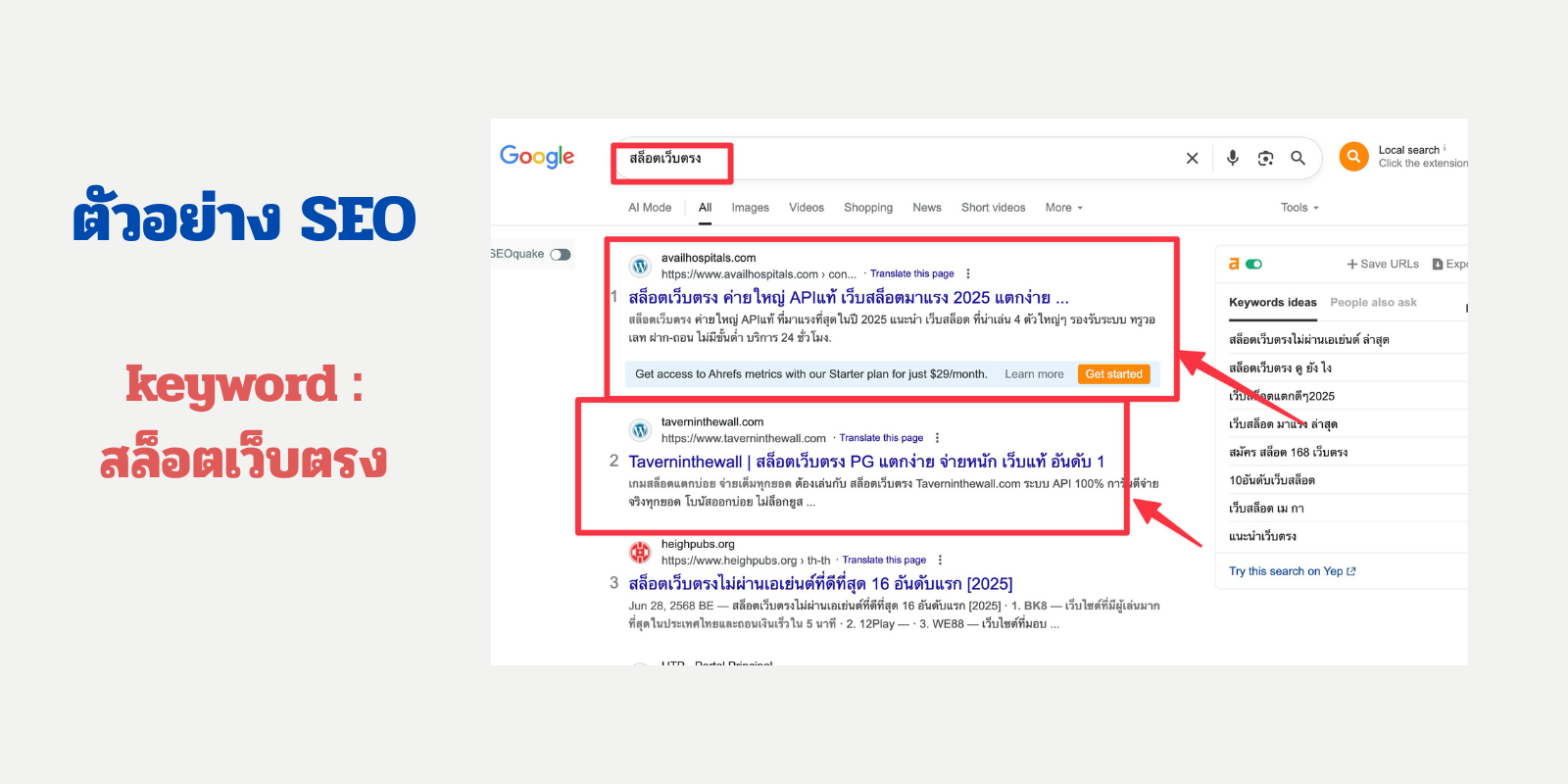 seo สายเทา