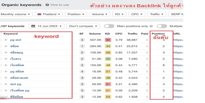 seo เว็บพนัน